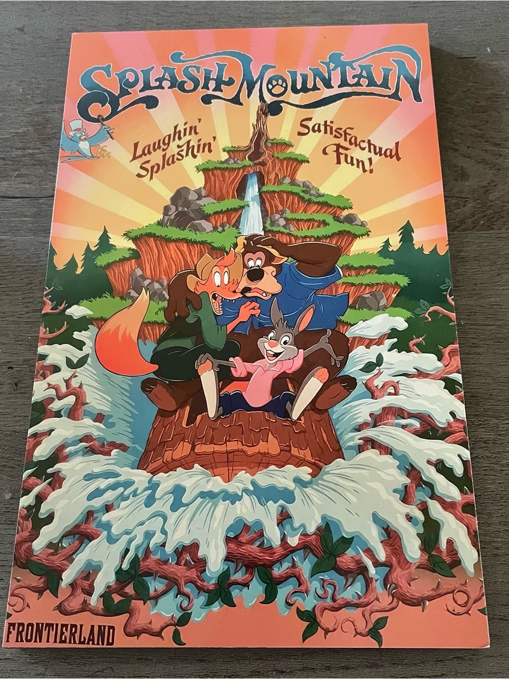 Disney Splash Mountain Foam Board Poster